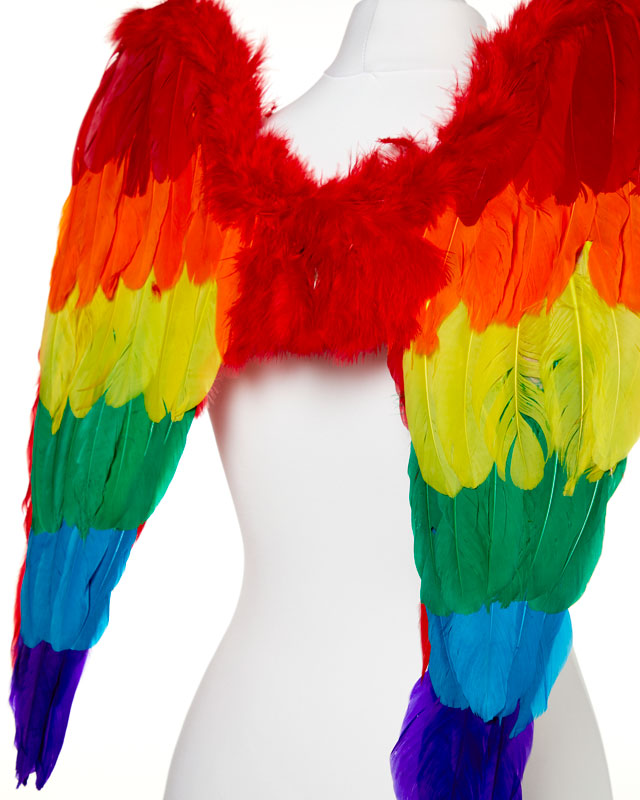 Rainbow Angel Wings - 50cm x 50cm