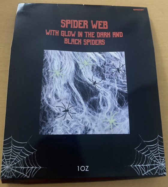 Indoor spiders web and spiders
