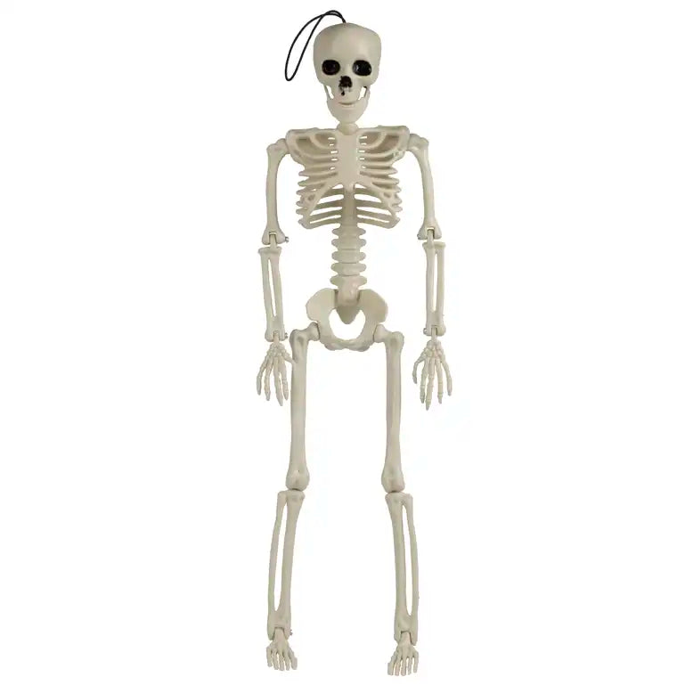 Hanging White Skeleton Decoration