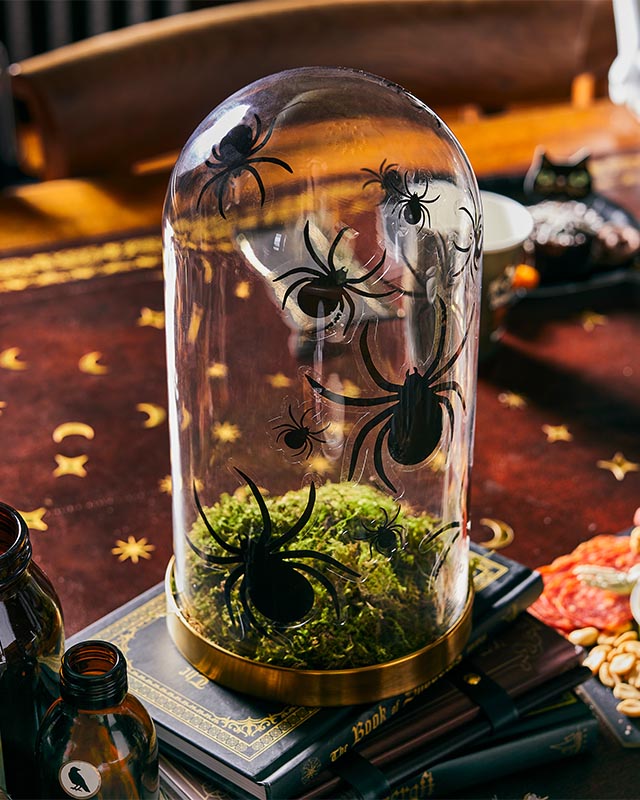 Spider Window Clings