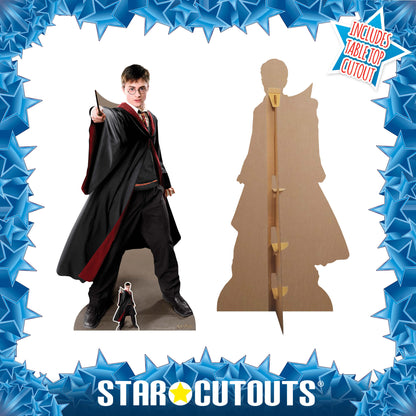 SC1478 Harry Potter Quidditch Captain Cardboard Cutout Height 170cm