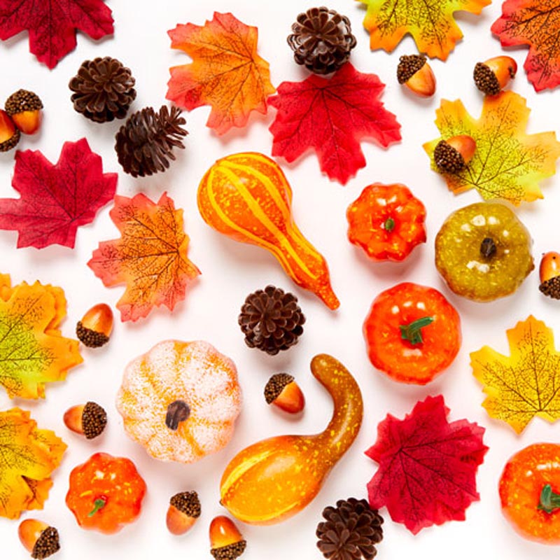 Pumpkin Decorating Kit