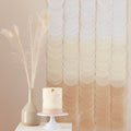 Neutral Ombre Tissue Paper Disc Party Backdrop - 1.8m – product image 1