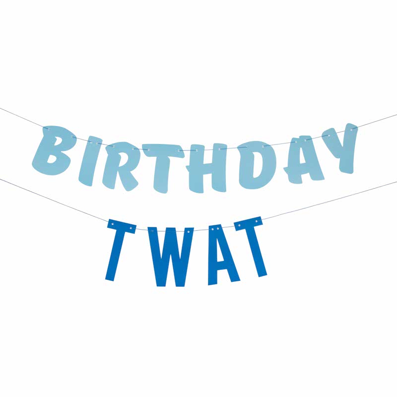 Blue Birthday Twat Paper Banner - 1.5m – product image 2