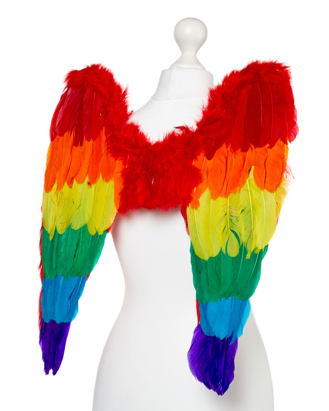 Rainbow Angel Wings - 50cm x 50cm