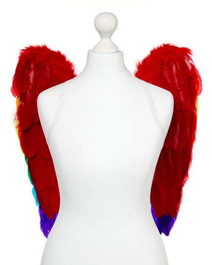 Rainbow Angel Wings - 50cm x 50cm