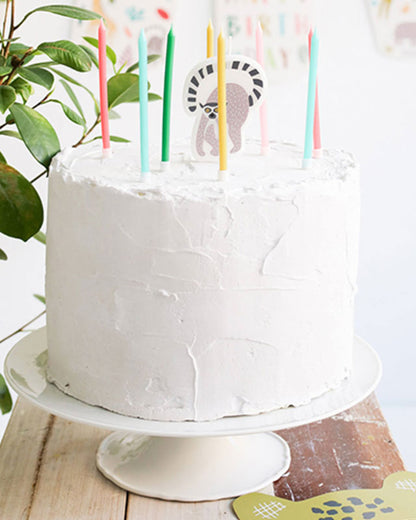 Zoo Party Candle Set (11pk)