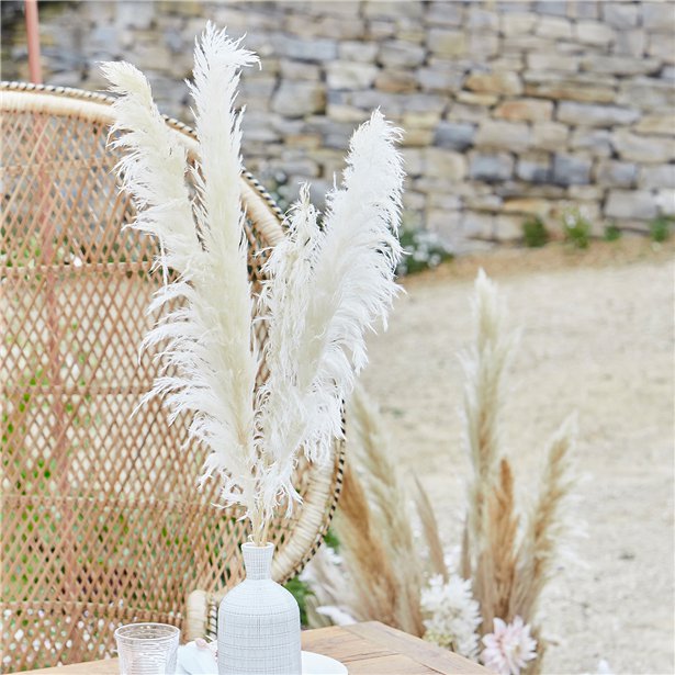 A Touch Of Pampas Bleached Pampas Grass (5pk) – product image 1