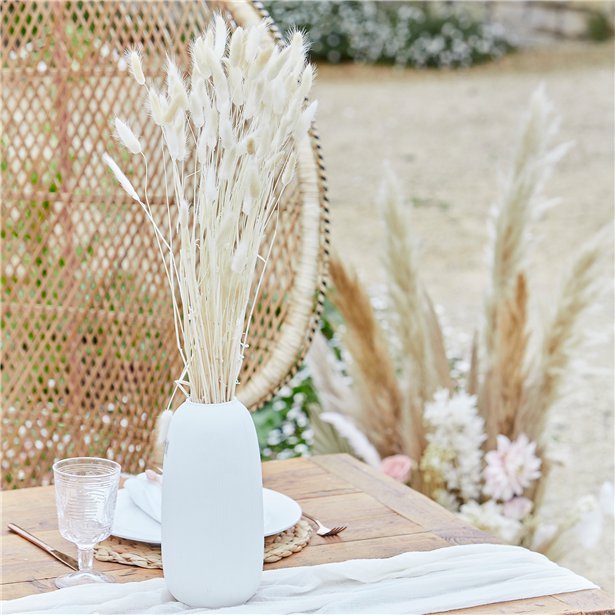 A Touch Of Pampas Off White Dried Bunny Tail Grass (20pk) – product image 1