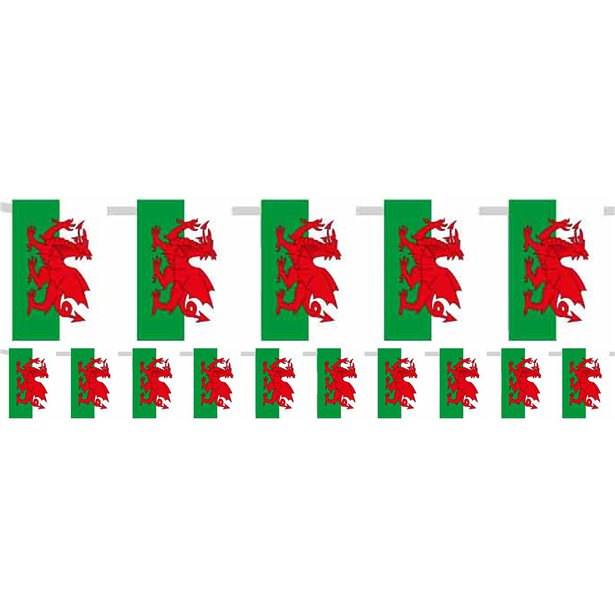 Welsh Plastic Flag Bunting - 5m
