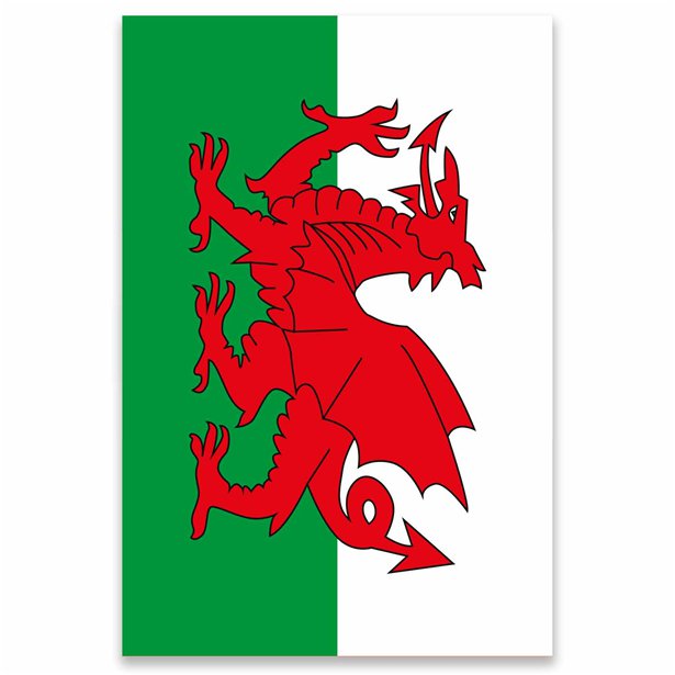 Welsh Fabric Flag - 150cm x 90cm