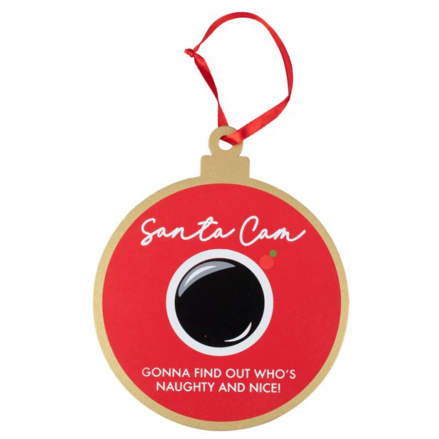 Wooden Santa Cam Decoration - 17cm