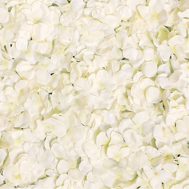 Cream Hydrangea Flower Wall - 40 x 60cm – product image 3