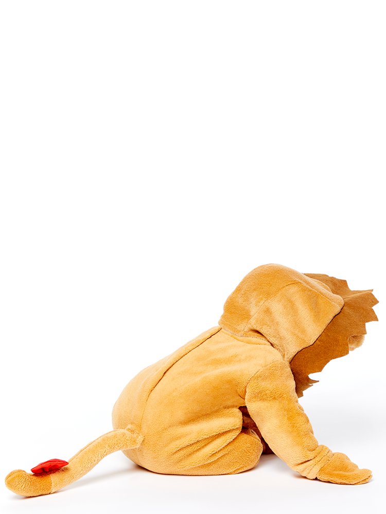 Little Roar - Baby and Toddler Costume