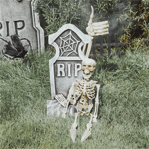 Hanging Skeleton - 39cm – product image 3