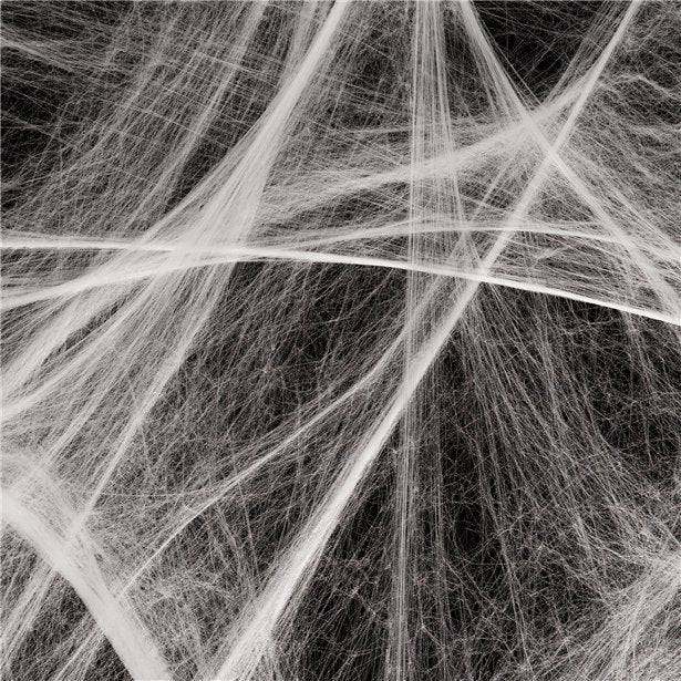 Spiders Web with Spiders - 100sq ft – product image 3