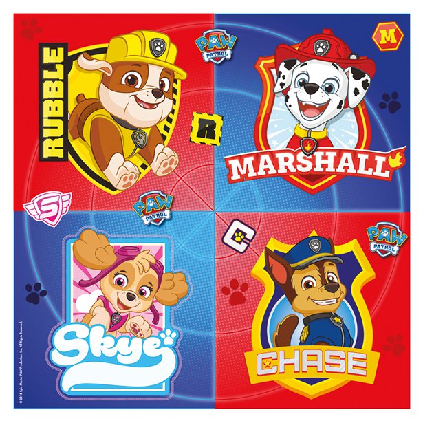 Paw Patrol Party in a Box