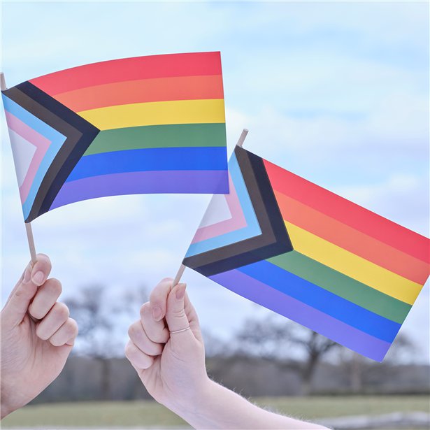 Progress Pride Handwaving Flag (5pk) – product image 2