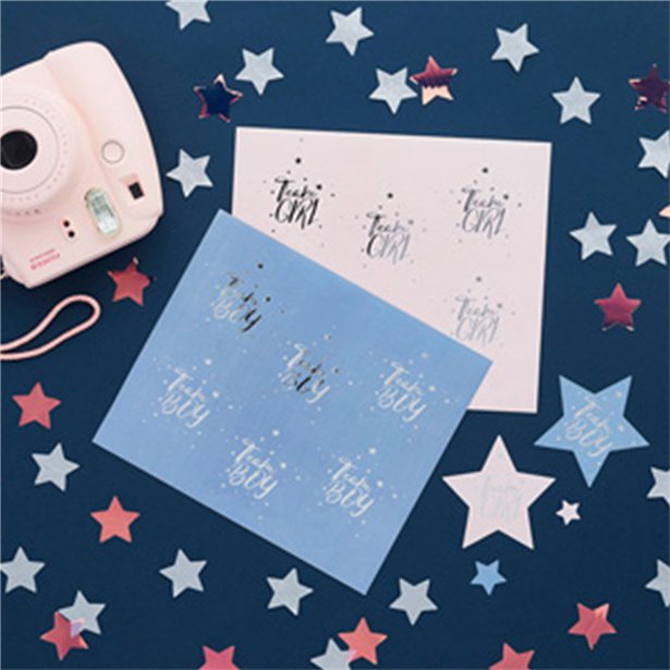 Gender Reveal Team Boy & Team Girl Stickers (24pk)