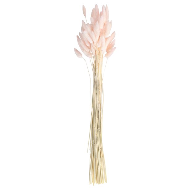 A Touch Of Pampas Blush Pink Dried Bunny Tail Grass (20pk)