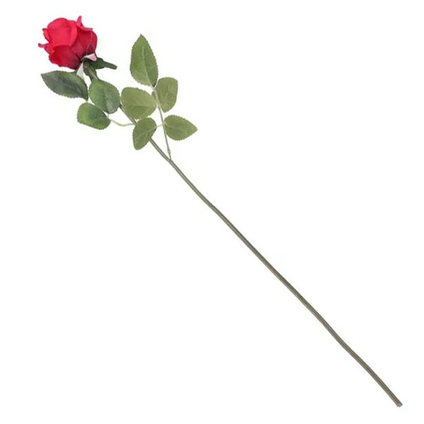 Long Stem Rose - 55cm