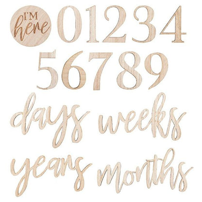 Baby In Bloom Milestone Blanket Kit