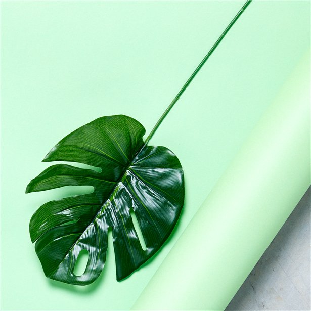 Philo Spray Tropical Leaf Decorations (12pk) – product image 1