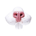 Rabbit Nose – product image 1