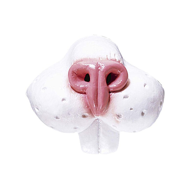Rabbit Nose – product image 1
