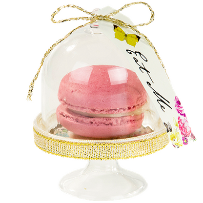 Alice in Wonderland Cake Dome, Tag & Doily Set (6pk)