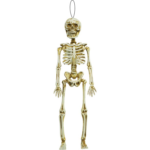 Hanging Skeleton - 39cm – product image 1