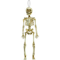 Hanging Skeleton - 39cm – product image 1