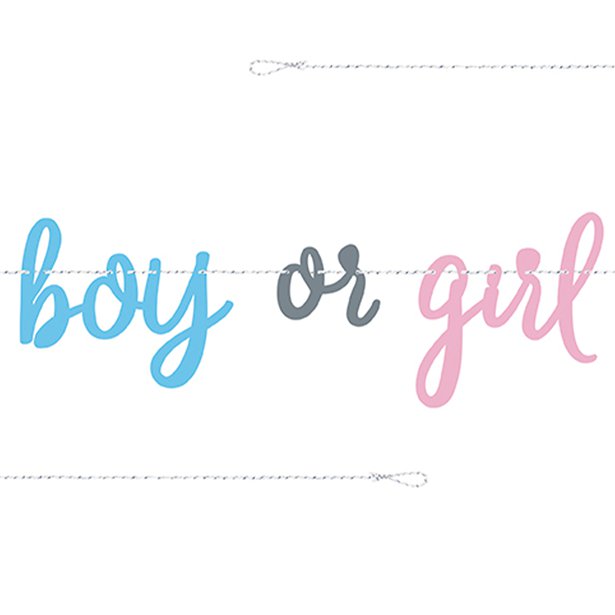 Gender Reveal Boy or Girl Paper Banner - 2.13m – product image 2