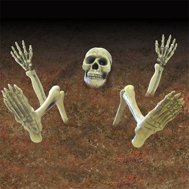 3D Skeleton Groundbreaker – product image 1