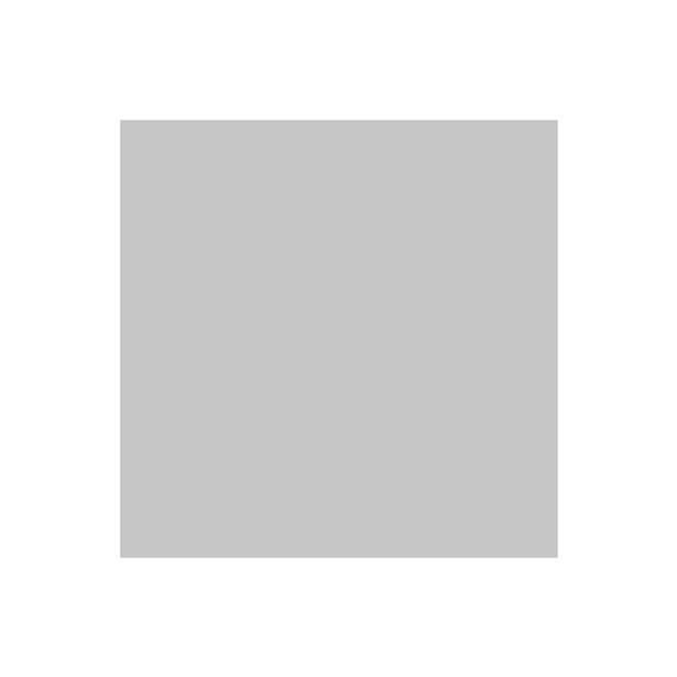 Ritrama Matt Vinyl Silver - 305mm x 5m