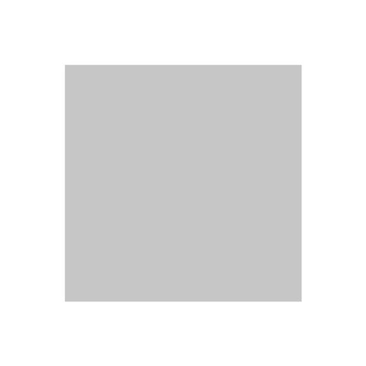 Ritrama Matt Vinyl Silver - 305mm x 5m