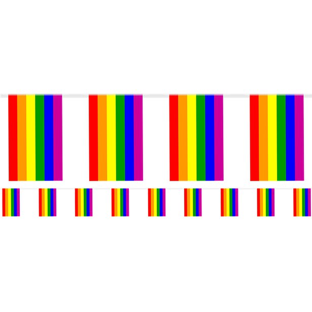 Pride Flag Bunting - 7m – product image 1
