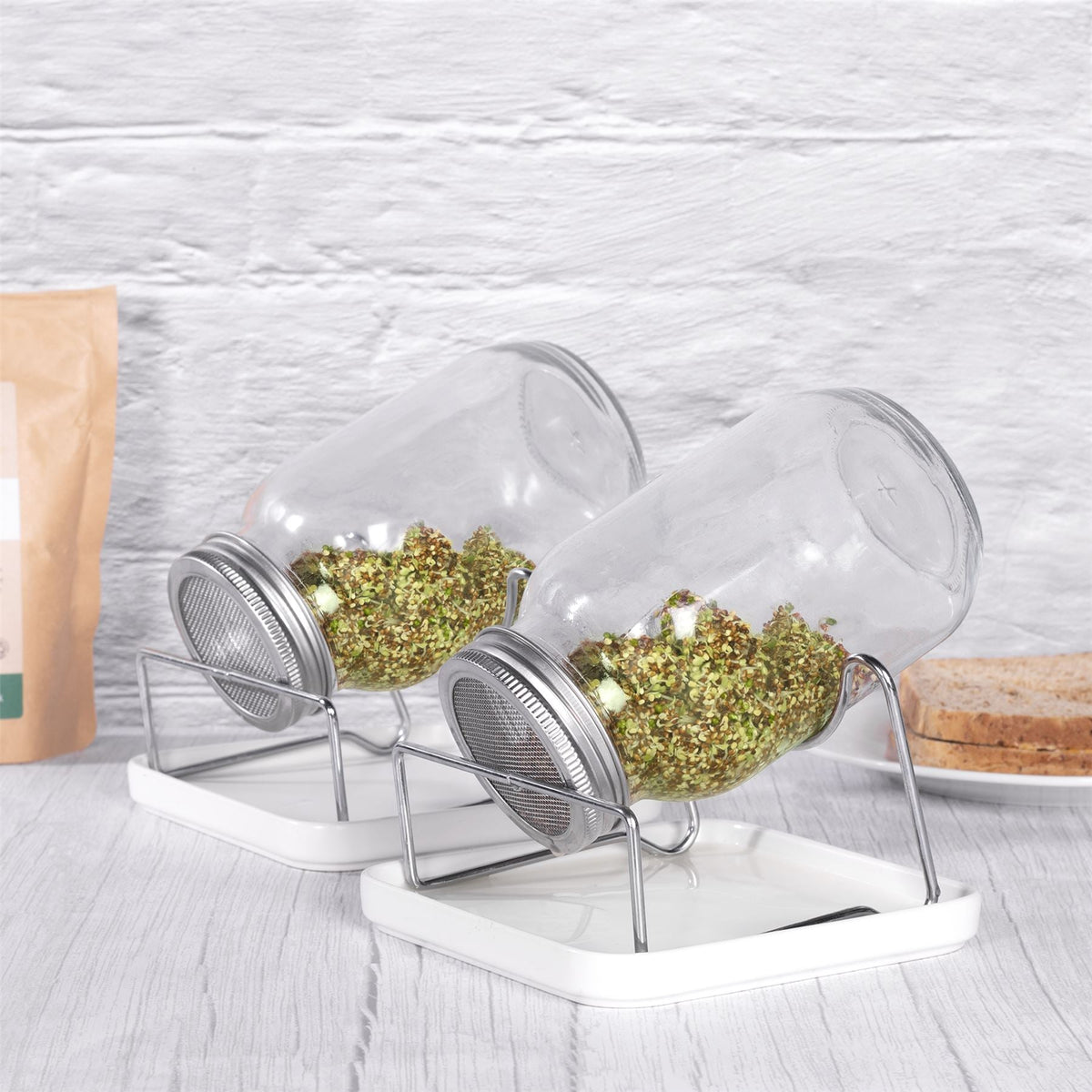 Seed Sprouting Jar Kit - Set of 2 | M&W	