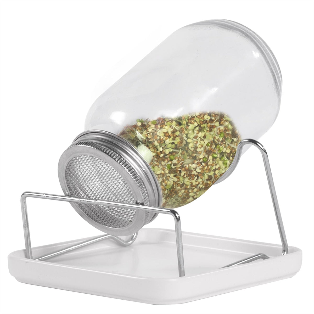 Seed Sprouting Jar Kit - Set of 2 | M&W	