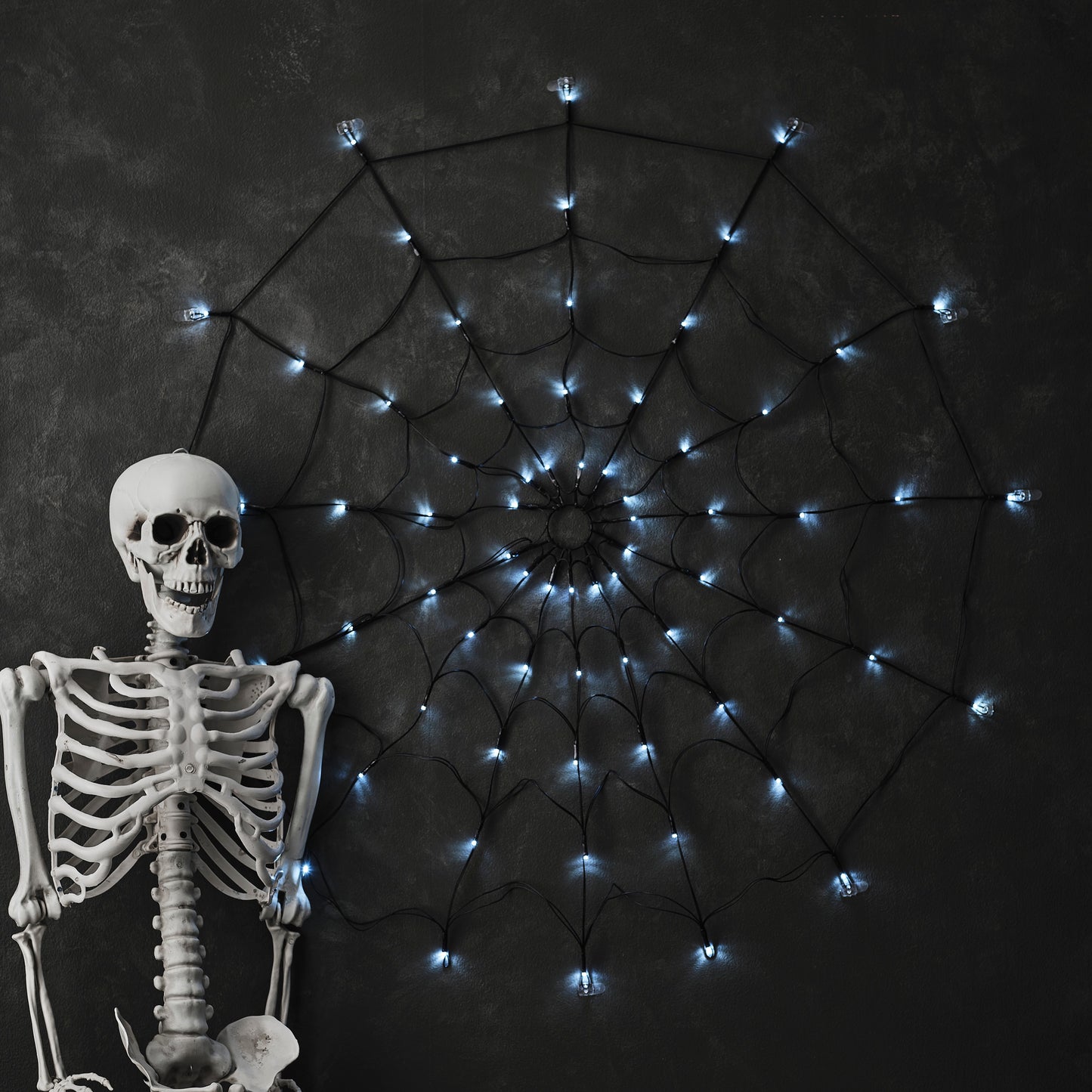 Light Up Spiderweb Decoration