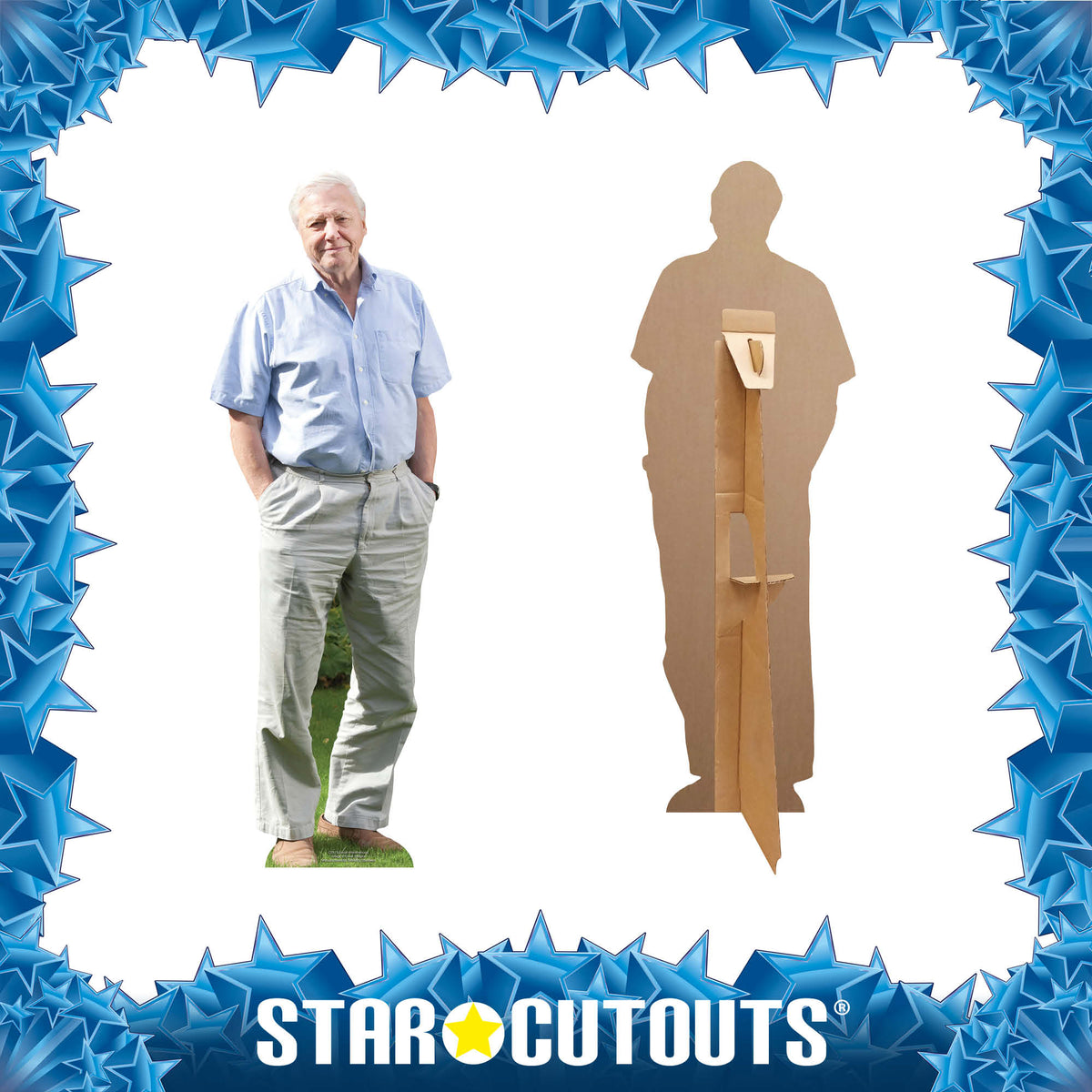 CS915 David Attenborough (Star Mini) Height 90cm Small Cardboard Cut Out – product image 3