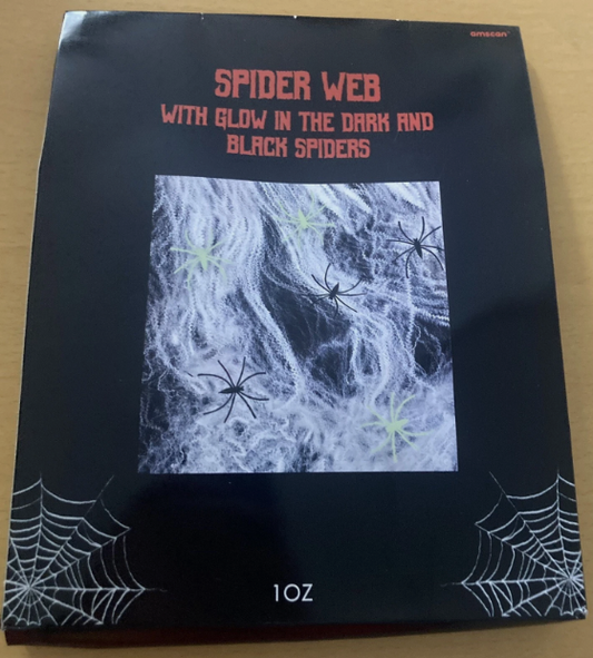 Indoor spiders web and spiders