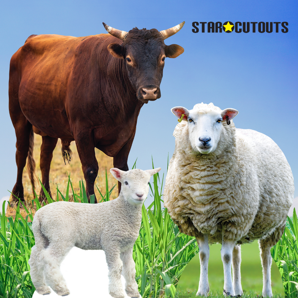 SC4437 Sheep Farm Animal Cardboard Cut Out Height 94cm – product image 6