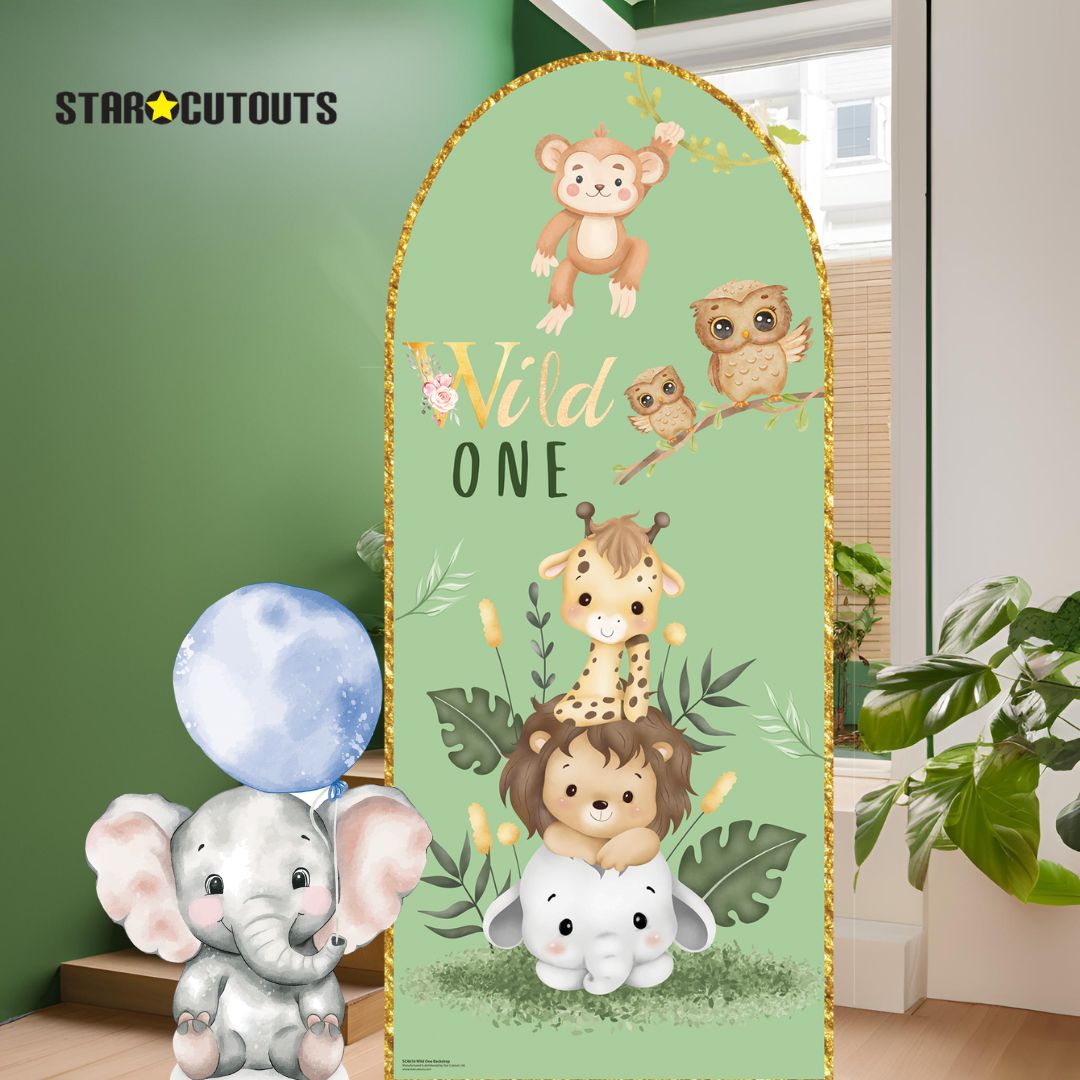 SC4616 Wild One Backdrop Sailboard Cardboard Cut Out Height 185cm – product image 2