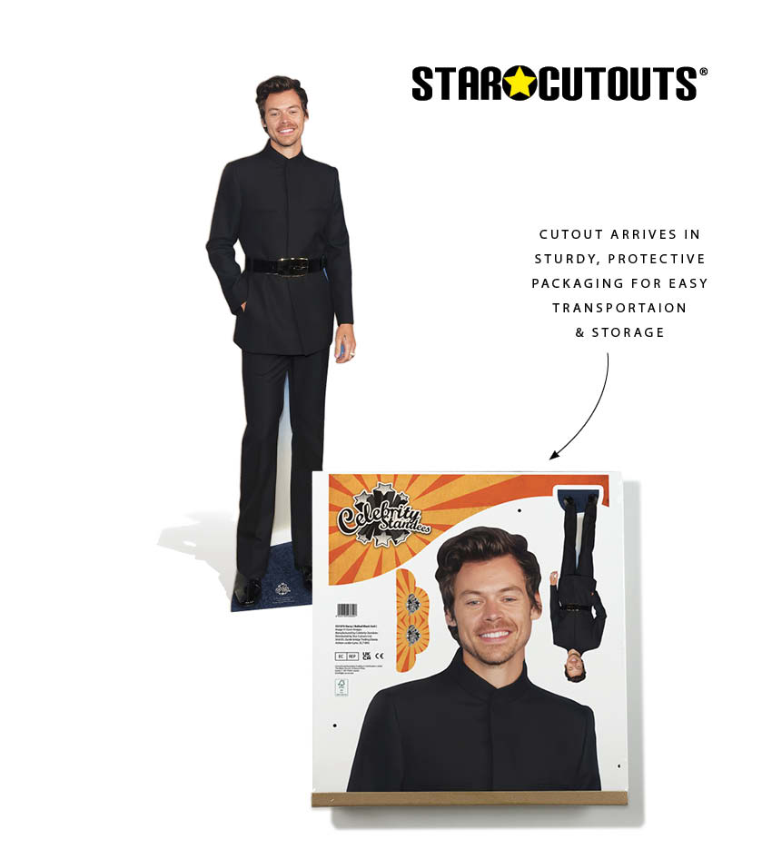 CS1275 Happy Harry Styles Lifesize Cardboard Cutout With Mini Cutout – product image 6