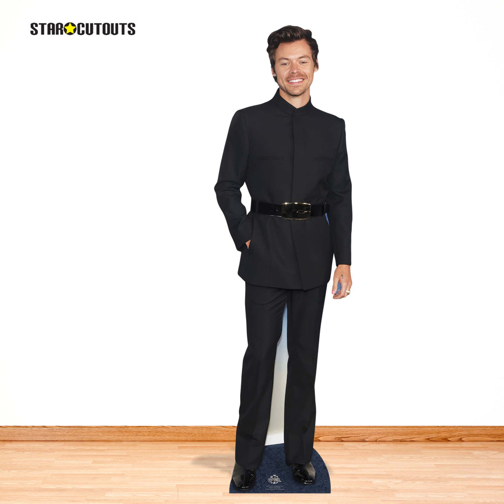 CS1275 Happy Harry Styles Lifesize Cardboard Cutout With Mini Cutout – product image 7
