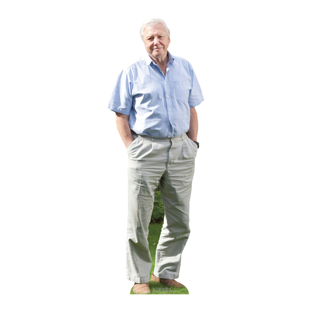 CS915 David Attenborough (Star Mini) Height 90cm Small Cardboard Cut Out – product image 1