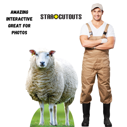 SC4437 Sheep Farm Animal Cardboard Cut Out Height 94cm