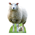 SC4437 Sheep Farm Animal Cardboard Cut Out Height 94cm – product image 1