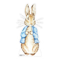 SC4440 Rabbit Blue Jacket Cardboard Cut Out Height 93cm – product image 1
